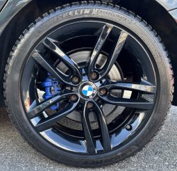 
										BMW Serie1 120DA Pack M full									