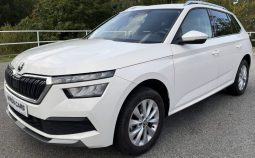 
										Skoda Kamiq Ambition 1.0 TSI 110 C.V. full									