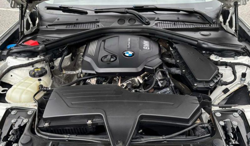
								BMW Serie1 116D full									