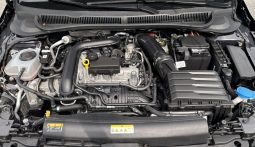 
										Volkswagen Polo Advance 1.0 TSI 95 C.V. full									
