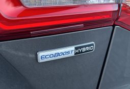 
										Ford Focus ST-Line 1.0 Ecoboost 125 C.V. MHEV. full									
