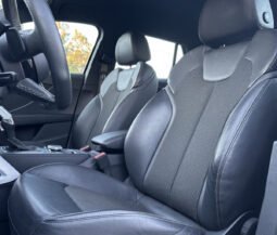 
										Audi Q2 S-Line 35 TFSI 150 C.V. S.Tronic full									