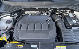 
										Volkswagen T-Roc Life 2.0 TDI 115 C.V. full									