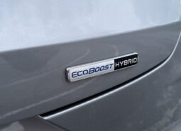 
										Ford Puma ST-Line X 1.0 EcoBoost 125 C.V. MHEV. full									