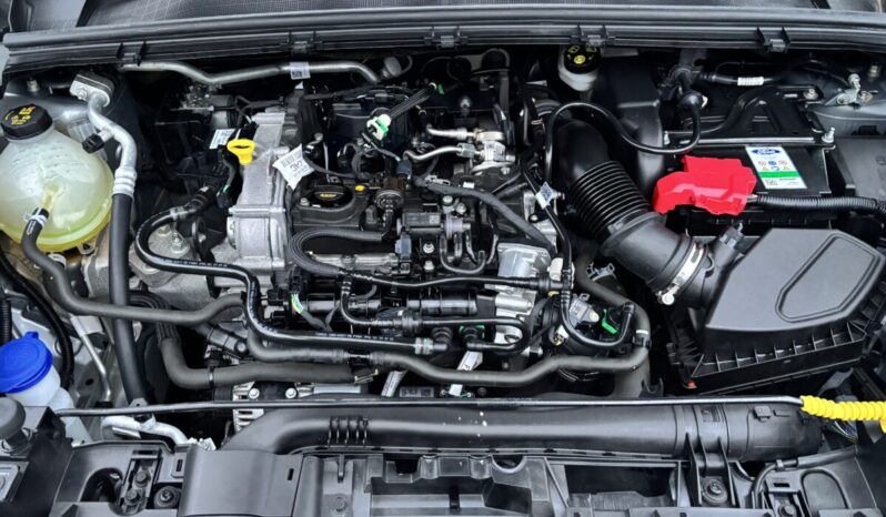 
								Ford Puma ST-Line X 1.0 EcoBoost 125 C.V. MHEV. full									